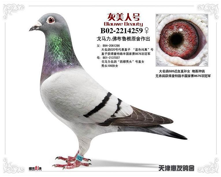 华体会登录入口