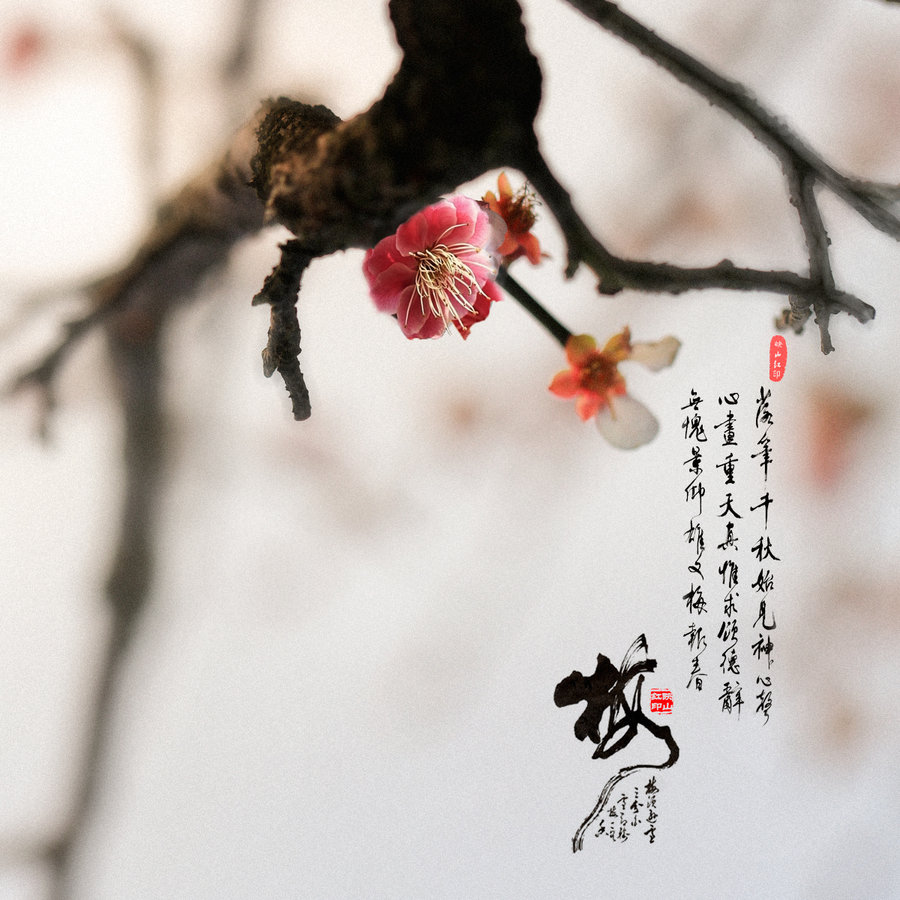 组图：骑士憾负76人 西蒙斯奋起暴扣詹姆斯上篮“华体会体育在线登录”(图2)